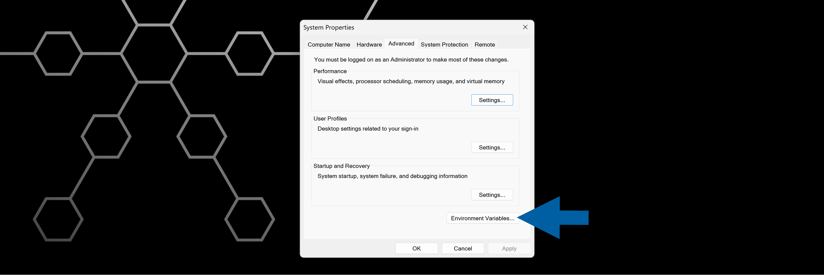 System Variable