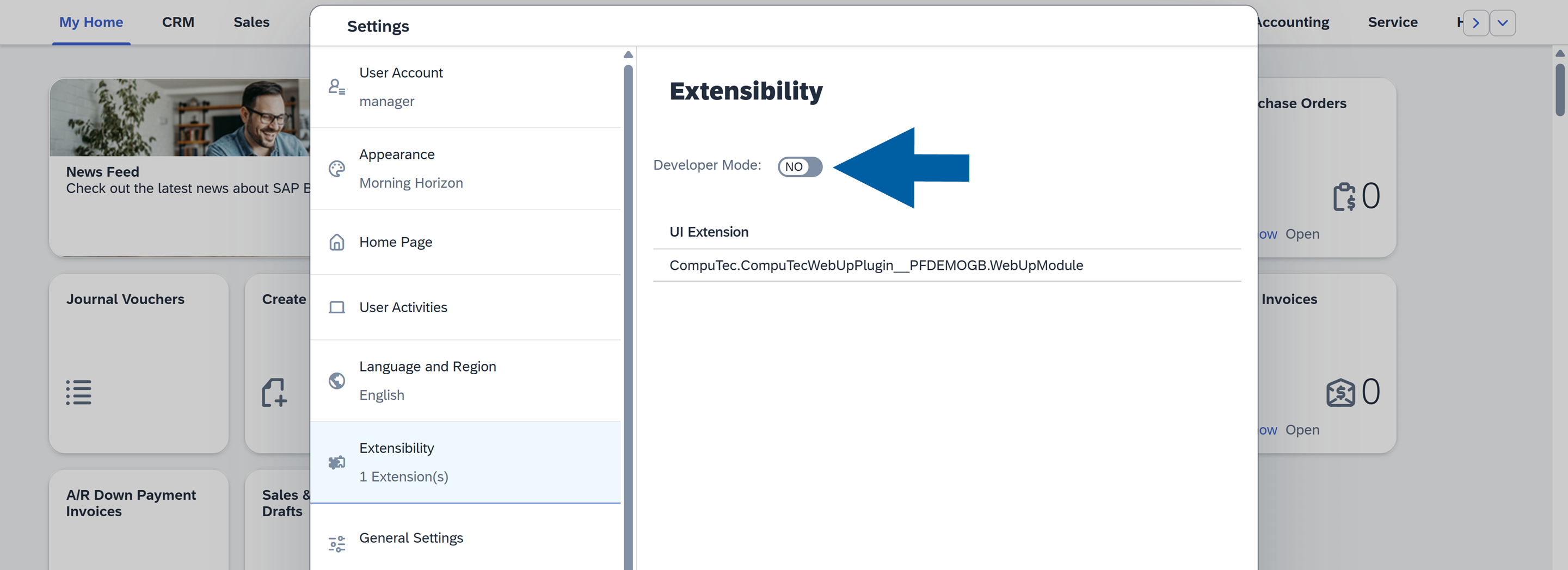 SAP Web Client Extensibility settings showing Developer Mode toggle switched on