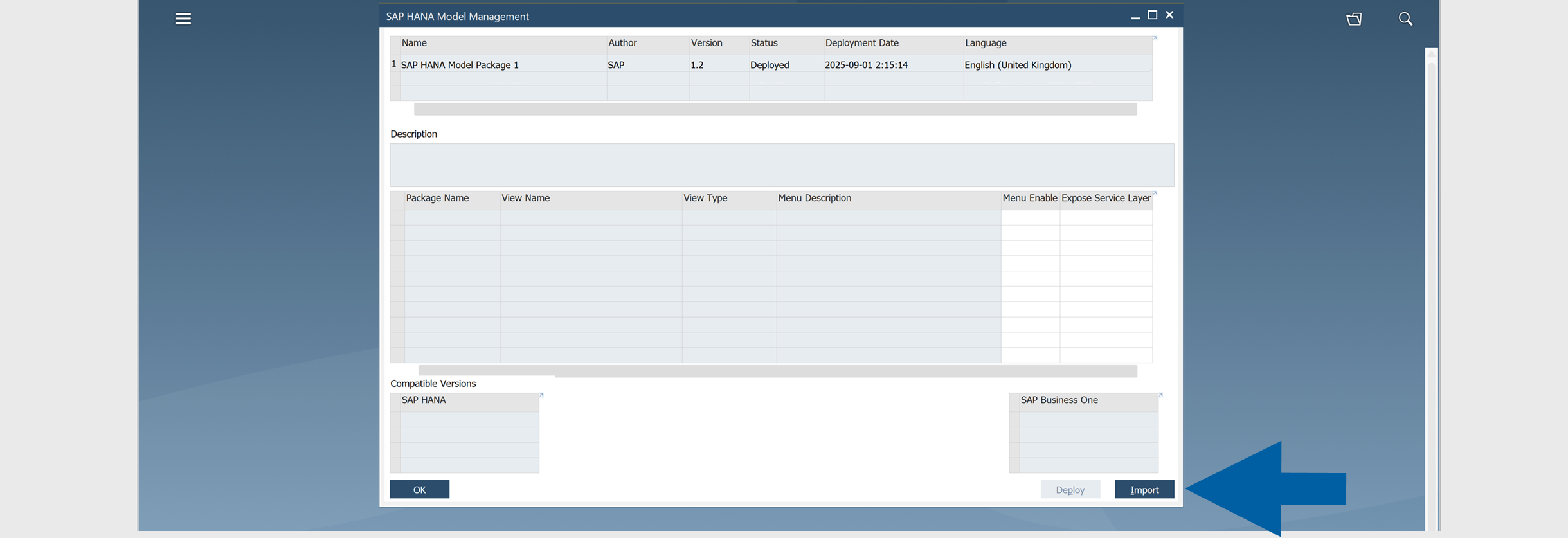 SAP HANA Model Management window in SAP Business One with Import button highlighted