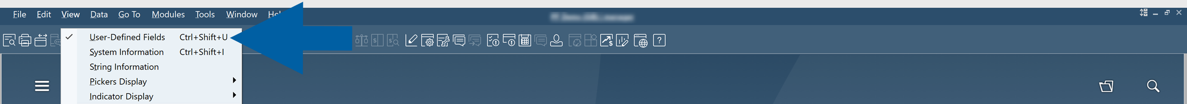 Bill of Materials form with View menu showing User-Defined Fields option